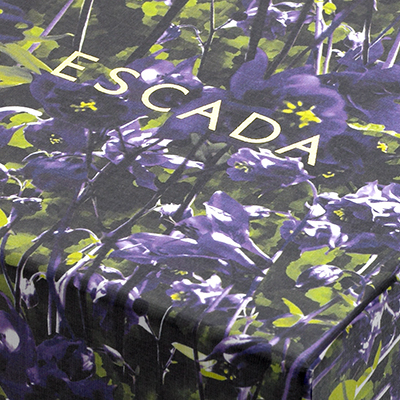 Escada__2_2