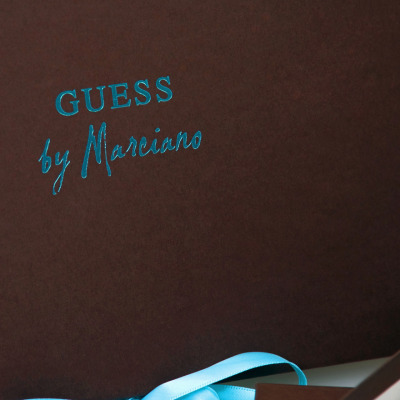 Guess-3-panel-folder-2
