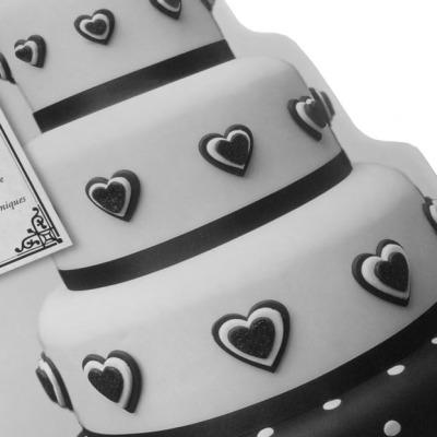 Taylor-box-custom-3-ring-binder-3